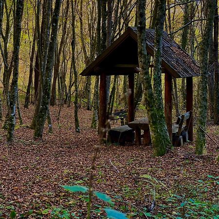 Ferienwohnung Domacinstvo Una-Ostrovica Kulen Vakuf Exterior foto